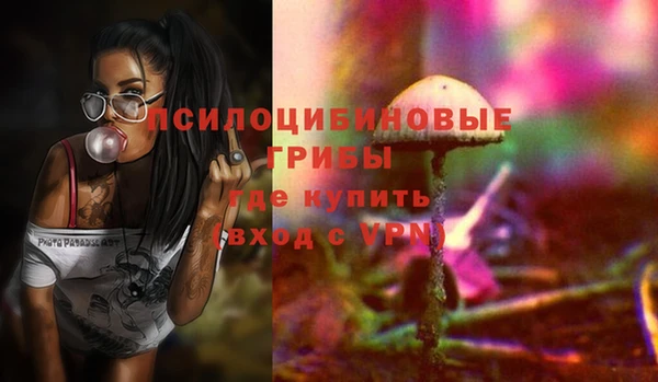 мет Алексин