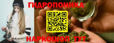 крисы Краснокаменск