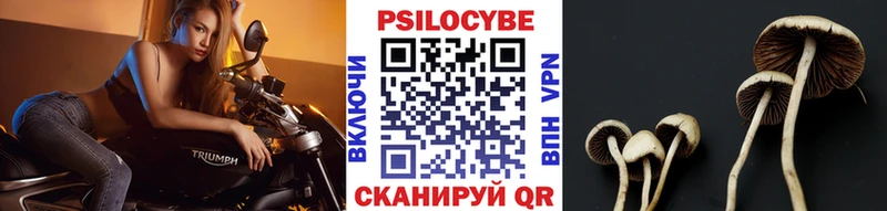 ОМГ ОМГ зеркало  Касимов  Галлюциногенные грибы Magic Shrooms 