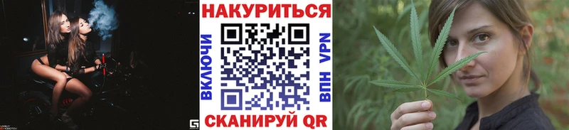 где найти   Касимов  Конопля индика 